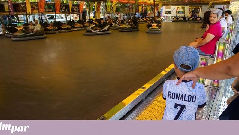 Estudo analisa impacto da anestesia no divertimento público