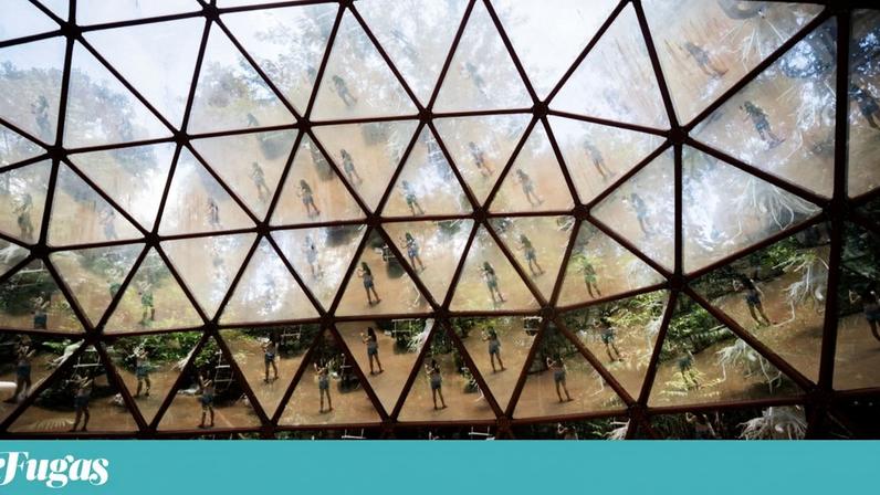 Inhotim não é museu nem jardim: é as duas coisas