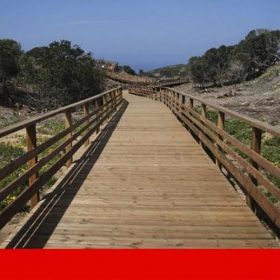 Passadiços de 2,5 km em Colares ficam prontos este ano e há mais a caminho