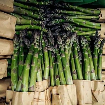 Produtor de Lafões abre portas por um dia para promover cultura local