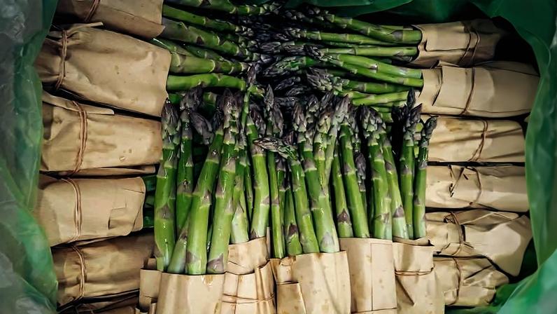 Produtor de Lafões abre portas por um dia para promover cultura local