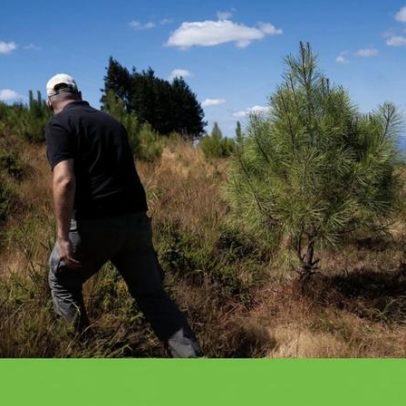 Falta de técnicos trava a execução do PRR na Agência para o Clima