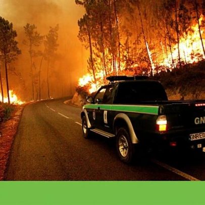 Portugal regista 2750 crimes ambientais e aumento de 32% nos incêndios