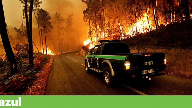 Em 2026, a GNR celebra os 25 anos da criação do Serviço de Protecção da Natureza e do Ambiente (SEPNA)