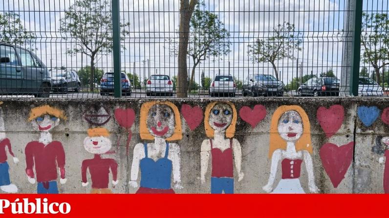 Os casos podem ter várias características, desde alunos que faltam sistematicamente, ou se recusam a ir à escola, até crianças que estejam impedidas pelos progenitores de a frequentarem ou situações de ensino alternativo não regulado