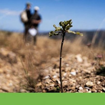 Burocracia e atrasos deixam autarquias sem verbas dos Condomínios de Aldeia