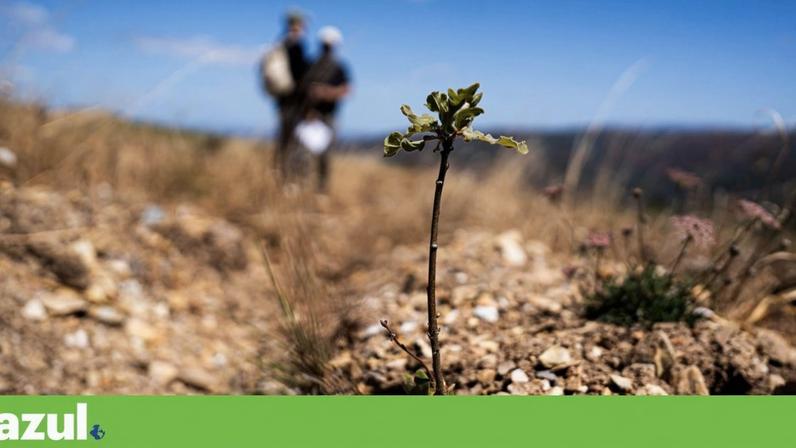 Burocracia e atrasos deixam autarquias sem verbas dos Condomínios de Aldeia