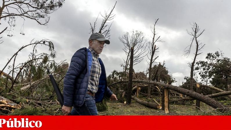 A tempestade Kristin destruiu empresas na região Centro do país