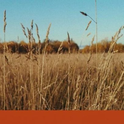 Dicotomia cidade-campo alimenta ascensão da extrema-direita