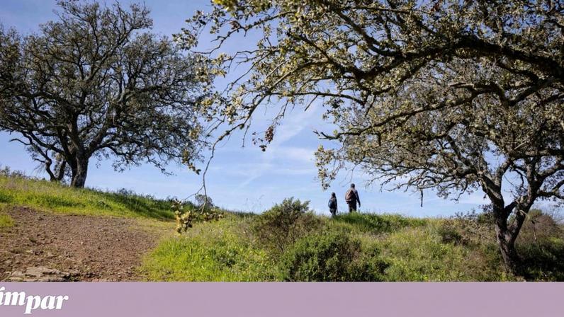 Mais tempo ao ar livre melhora hábitos alimentares