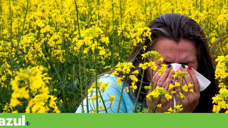 Nariz entupido, comichão nos olhos e garganta irritada são alguns dos sintomas das alergias primaveris