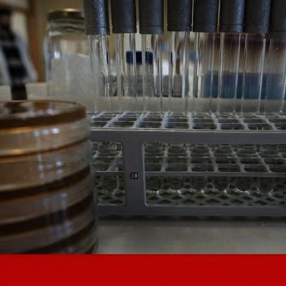 Laboratórios têm três meses para gastar 150 milhões do PRR sob pressão