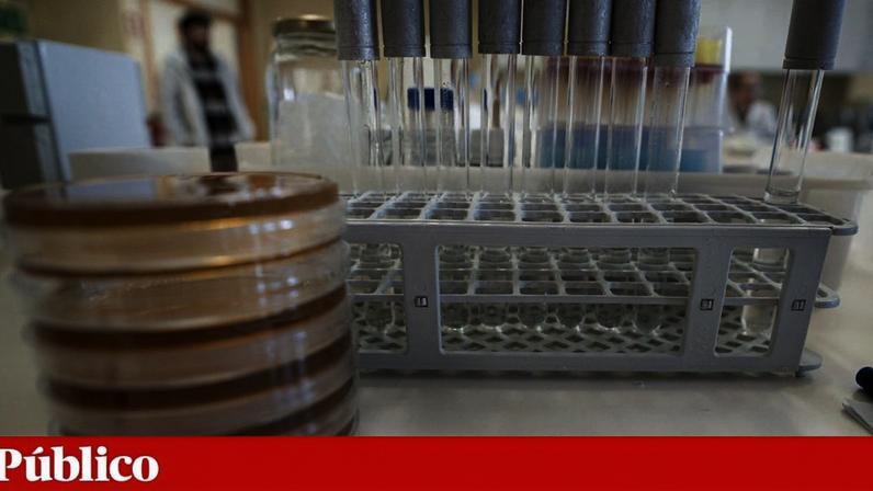 As verbas "extra" de fundos do PRR para equipamentos científicos foram, em boa parte, alocadas a investigação em saúde