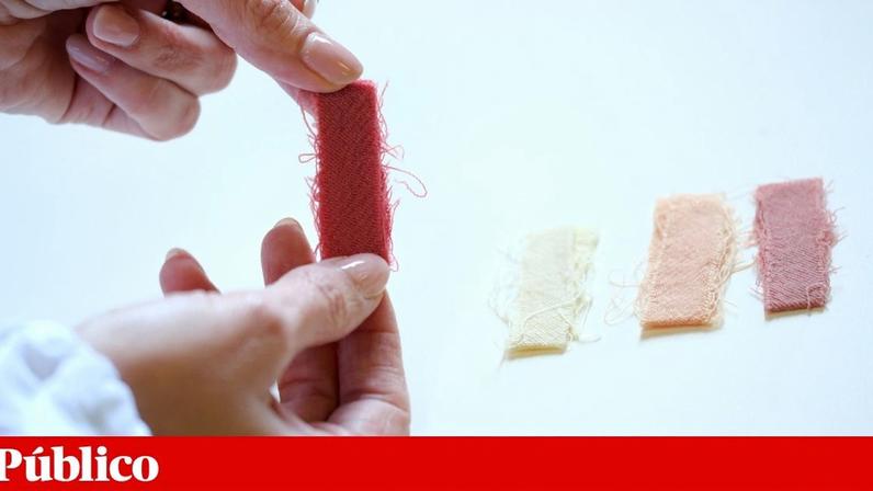 Carla Silva, investigadora da Universidade do Minho, segura uma das amostras tingidas com corantes naturais extraídos da beterraba