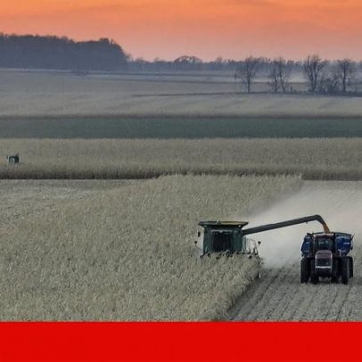 Conflito no Irão eleva preços mundiais de alimentos