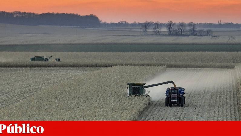 Conflito no Irão eleva preços mundiais de alimentos