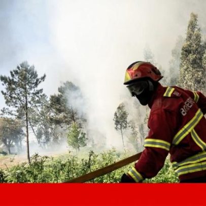 Cerca de 100 operacionais combatem incêndio em Vale de Cambra