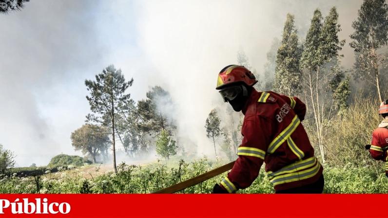 Cerca de 100 operacionais combatem incêndio em Vale de Cambra