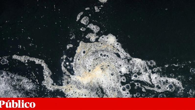 Jovem de 20 anos é encontrado morto na barragem de Idanha-a-Nova
