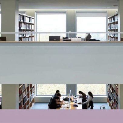 Formação académica e trabalho complexo reduzem risco de demência