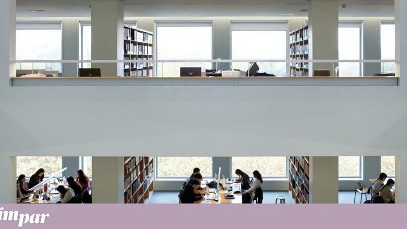 Formação académica e trabalho complexo reduzem risco de demência