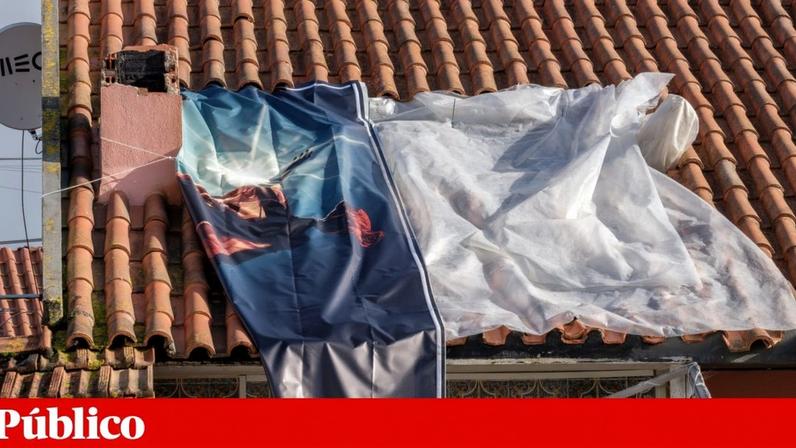 Destruição em Colmeias, Leiria