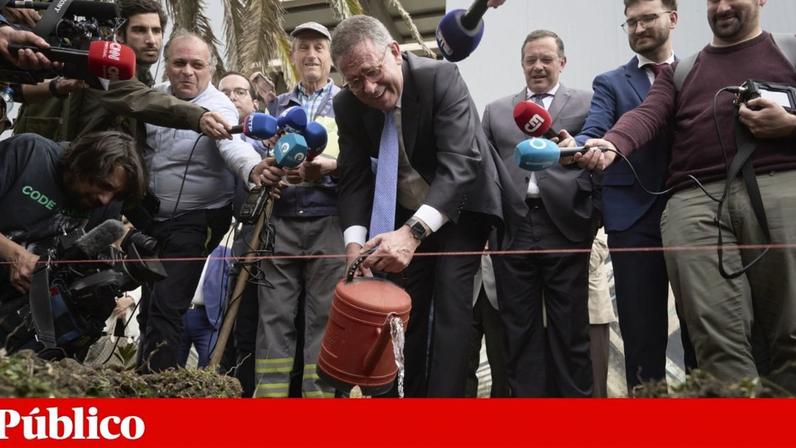 O chefe de Estado plantou um medronho em Proença-a-Nova