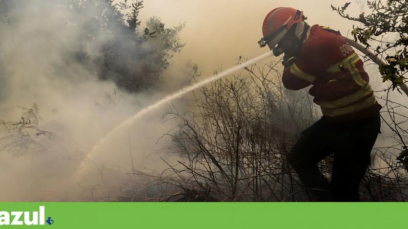 Sande Silva rompe com mito do fogo posto e defende mexer nas instituições