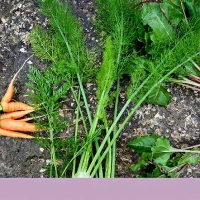 Novos 9 mandamentos da AHA para proteger o coração à mesa