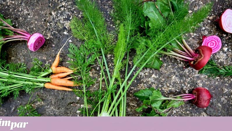 Novos 9 mandamentos da AHA para proteger o coração à mesa