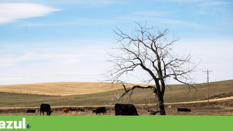 Seca de inverno extrema agrava dificuldades dos agricultores nos EUA