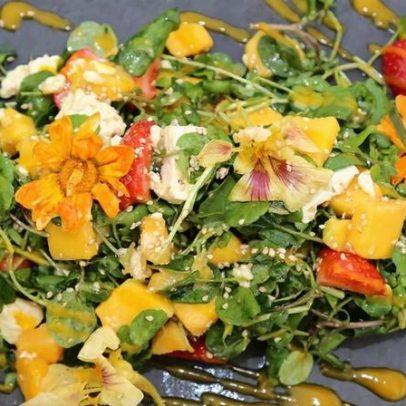 Grândola celebra Abril com tradições de flores e descobertas no mar