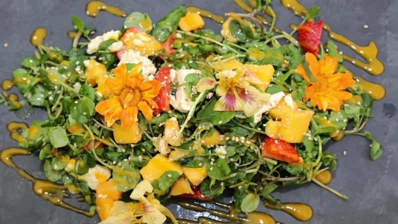 Grândola celebra Abril com tradições de flores e descobertas no mar