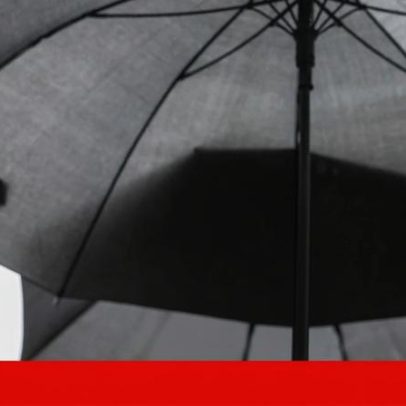 Um mês de Seguro em Belém: três discursos, 14 promulgações e observações