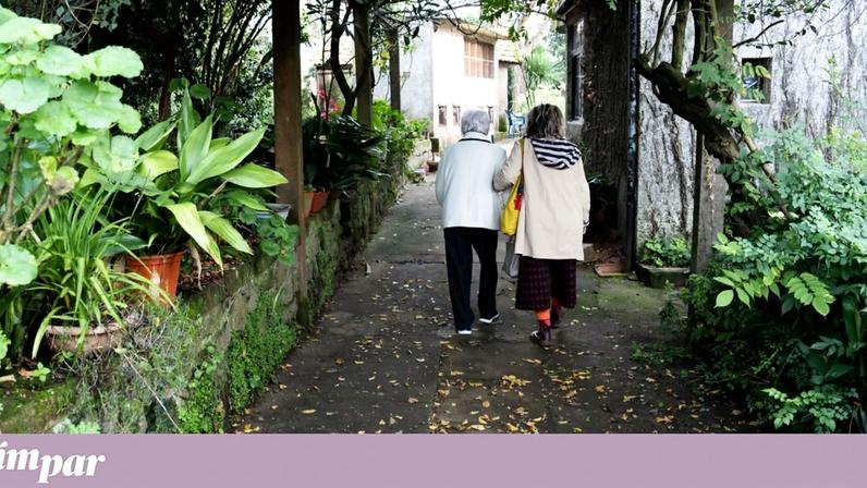 7 nutrientes a ter em conta à medida que envelhece