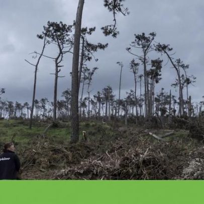 Março quente e seco no continente, aponta IPMA
