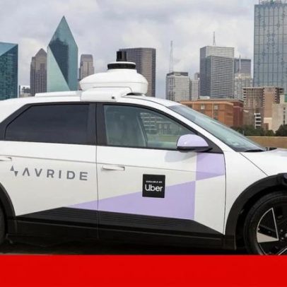 Carro autónomo atropela uma mãe-pata