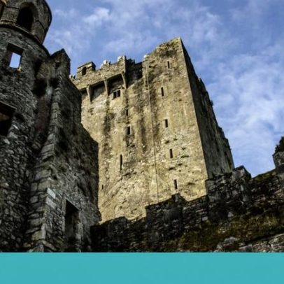 A Cork de Bourdain e das alpacas