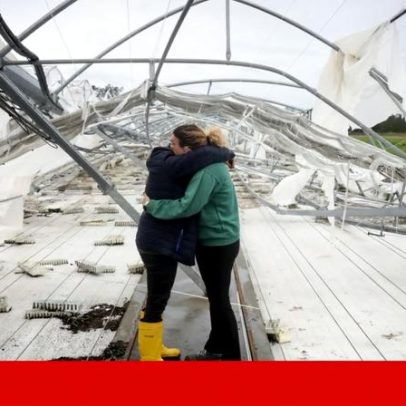 Empresas ganham seis meses para devolver fundos europeus