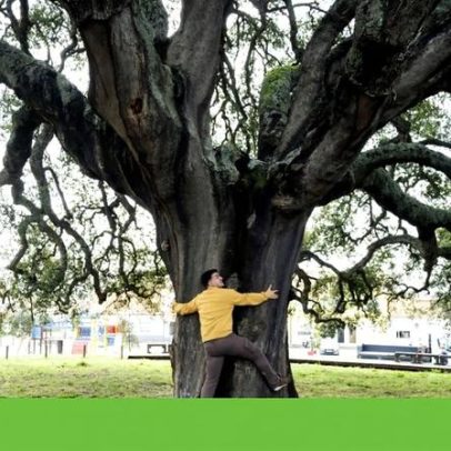 Pode fazer amizade com árvores? Estudos apontam benefícios para o bem-estar