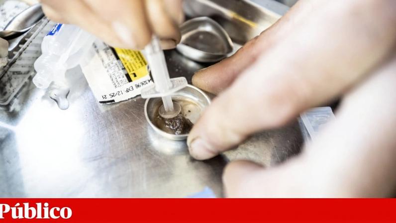 Sala de consumo do Porto transferida da Pasteleira para terrenos do Aleixo