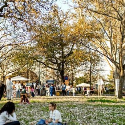 Fim de semana com festa na Penha e bacalhau no prato