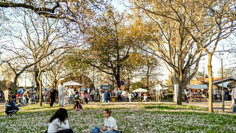 A Festa da Primavera vive-se ao ar livre, na Penha (Guimarães)