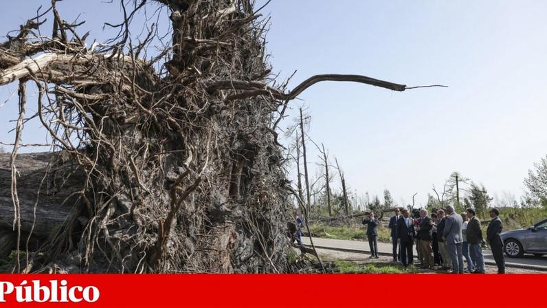 Após semana de estragos, Seguro promete manter Governo sob vigilância