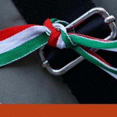Hungria decide entre resiliência democrática e reversão da autocracia de Orbán