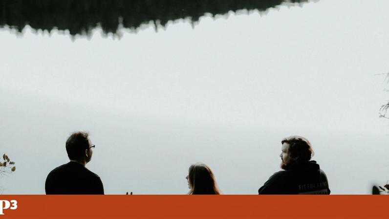 Estudo alerta: falar todos ao mesmo tempo reduz compreensão nas conversas