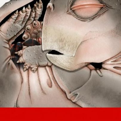 Primeiro ovo de antepassado dos mamíferos data de 250 milhões de anos