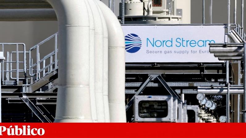 Extrema-direita alemã quer reativar gasoduto russo e abandonar renováveis