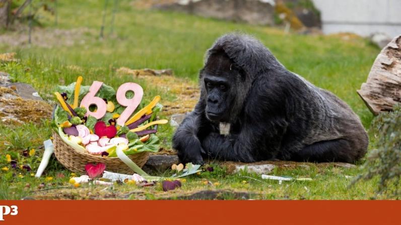 Fatou celebrou 69 anos na segunda-feira