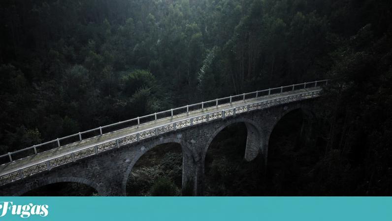 Municípios entre Vouga e Dão planeiam turismo com antiga linha férrea